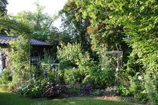 Juni     0423.JPG