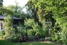 Juni     0423.webp