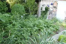 Juni   0223.webp