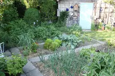 Juni   0623.webp