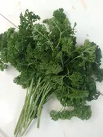 IMG_20230606_174631.webp