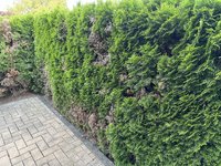 IMG_1586.JPEG