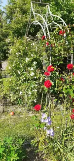 20230604_173749.webp
