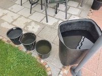 IMG_20230607_152058.jpg