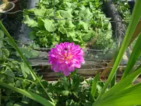 DSC02966.webp