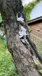 IMG_6112.jpeg