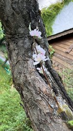 IMG_6112.jpeg