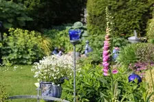 Juni     1223.webp