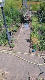 20230608_114543.webp
