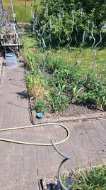 20230608_114545.webp