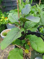 20230608_175424.jpg