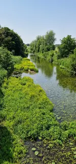 IMG-20230608-WA0002.jpg
