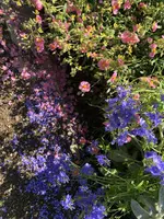 150E4922-D15D-4F63-A844-724AC3DA6667.webp