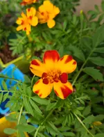 20230608_195100.webp