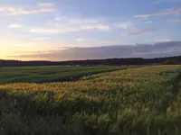904C9C70-6038-4C13-87B9-5018E75E018A_1_201_a.webp