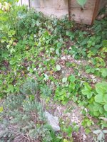 20230608_200729.jpg