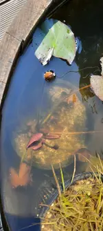 20230608_114612.webp
