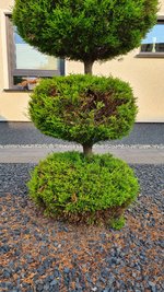 20230609_070123.jpg