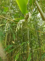20230608_185059.webp