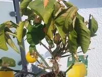 20230609_103502.webp