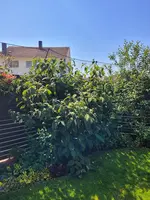 20230609_112643.jpg