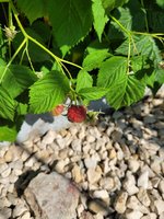 20230609_095418.jpg