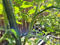 20230609_095033.jpg