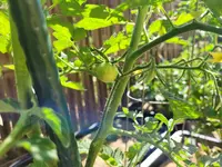 20230609_095033.jpg