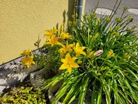 20230609_095322.jpg
