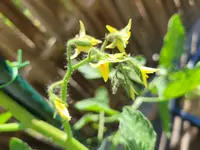 20230609_095010.jpg