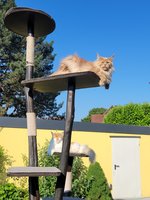 20230609_083337.jpg