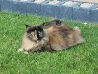 20230609_083351.webp