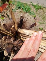20230609_122617.jpg
