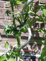 IMG_20230609_133522.webp