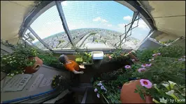 c030.webp