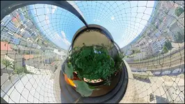 c033.webp