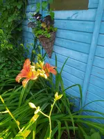 IMG_20230609_193348.webp