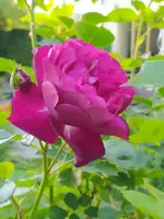 IMG_20230609_192856.webp