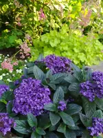 IMG_20230609_192827.webp
