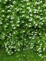 IMG_20230609_192747.webp