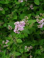 IMG_20230609_192727.webp