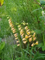 IMG_20230609_192655.webp
