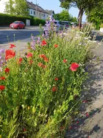 IMG_20230608_090811.webp