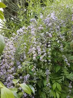 20230608_183116.webp