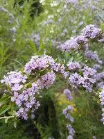 20230608_183235.webp