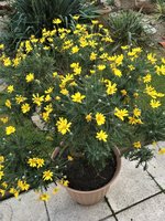 IMG_0981.JPG