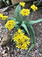 IMG_0983.JPG