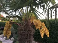 IMG_0984.JPG