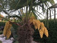 IMG_0984.JPG