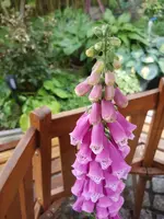 20230608_192917.webp